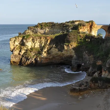 Albaholm * Лагуш